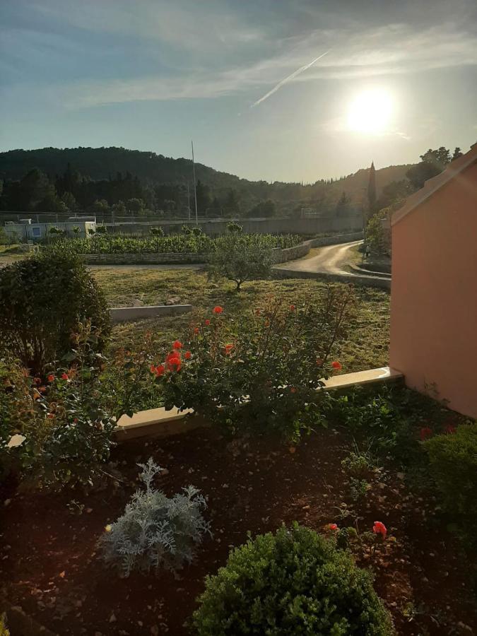 Apartment "Manna Zrnovo Exterior foto